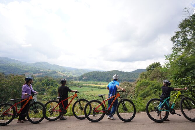 Chiang Mai: Cycling Nam Phare Countrysides, Breezy-Relax & Lunch - The Elephant Feeding and Bathing Moment (If It’s Included on Your Day)