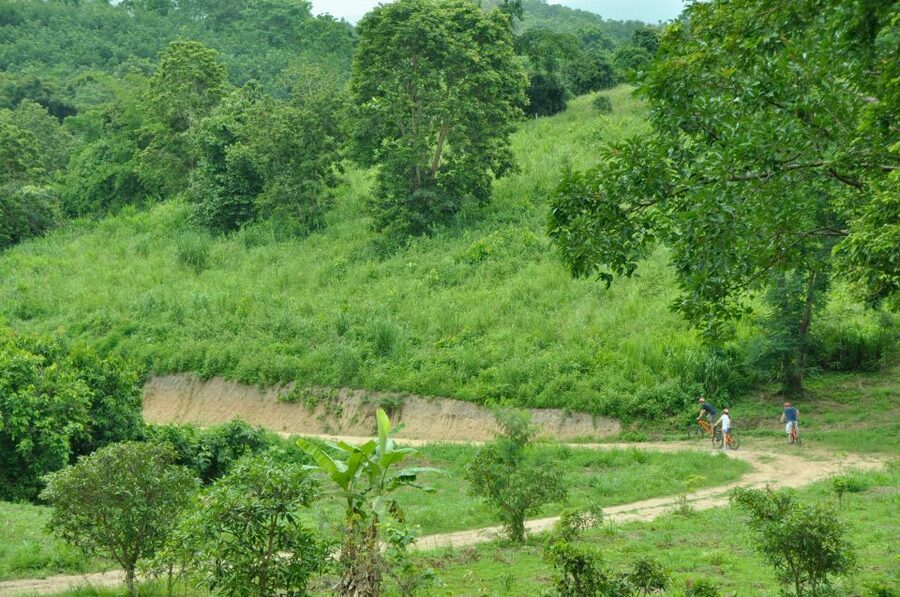 Chiang Mai Fields of Gold Cycling Tour - Key highlights you’ll feel on the day