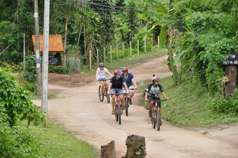 Chiang Mai Fields of Gold Cycling Tour - What you’ll do on the route: villages, snacks, and a park stop