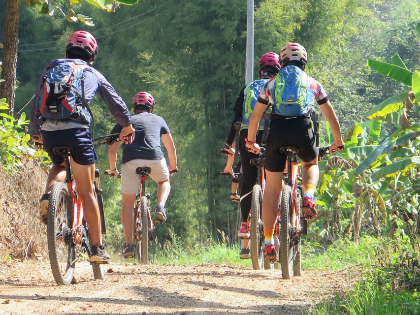 Chiang Mai Fields of Gold Cycling Tour - Price and value: $64 for an 8-hour guided cycling day