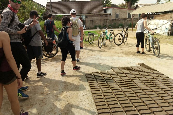 Chiang Mai Paradise Full-Day Cycling Adventure Tour - Farming Lessons by Bike: Mushrooms, Rice Fields, and Vegetable Areas
