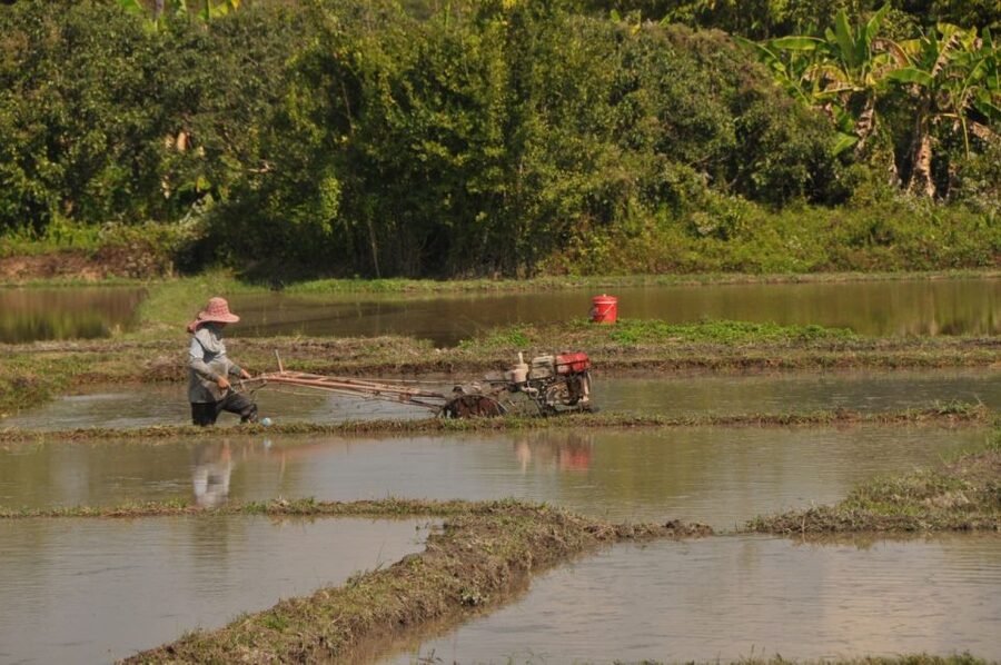 Chiang Mai: Rural Explorer Cycling Tour - Price and value: why $62 can make sense for what you get