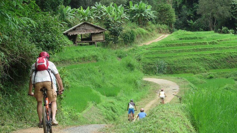 Chiang Mai: Rural Explorer Cycling Tour - The Kona Blast Trail and the safety setup that keeps things calm
