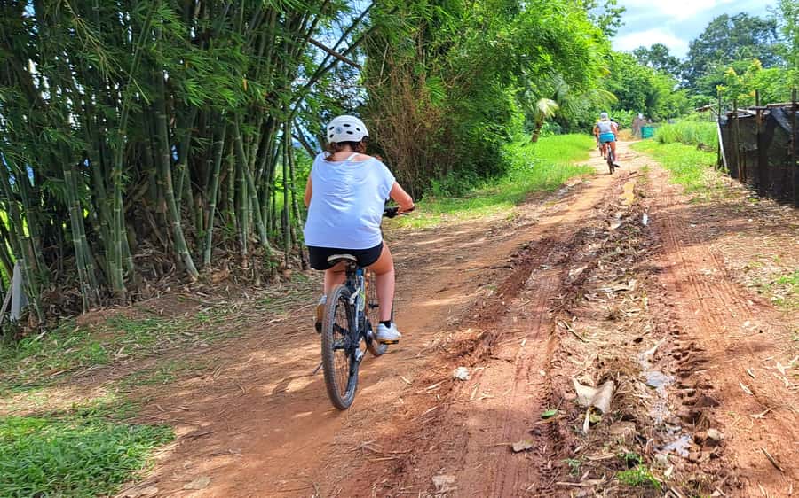 Chiang Mai: Sticky waterfall, lake kayak and cycling tour - Cycling through the valley: a relaxed ride that still feels like work