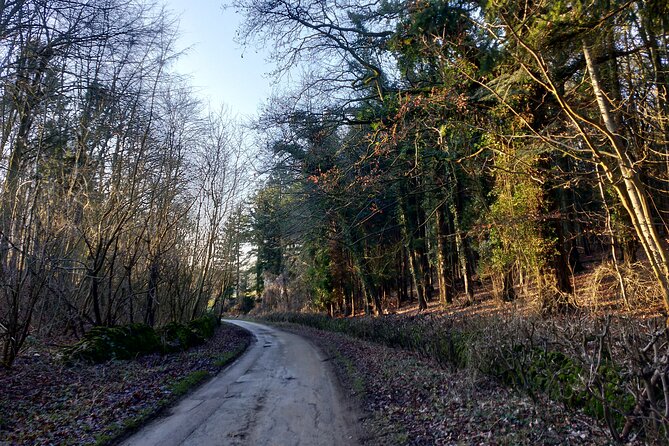Cotswolds One Day Guided Cycle Tour - Private Groups - Swinbrook: A Short, Scenic Intermission Before Returning