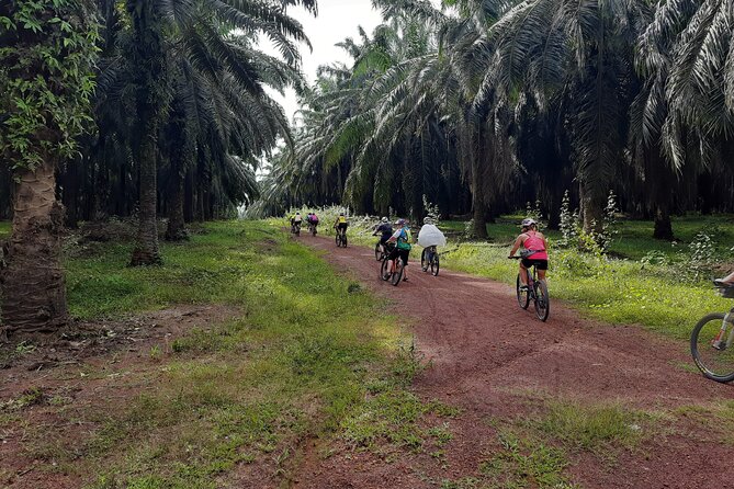 Countryside Cycling Tour. T1.0 by Matahari - Key Highlights to Look For