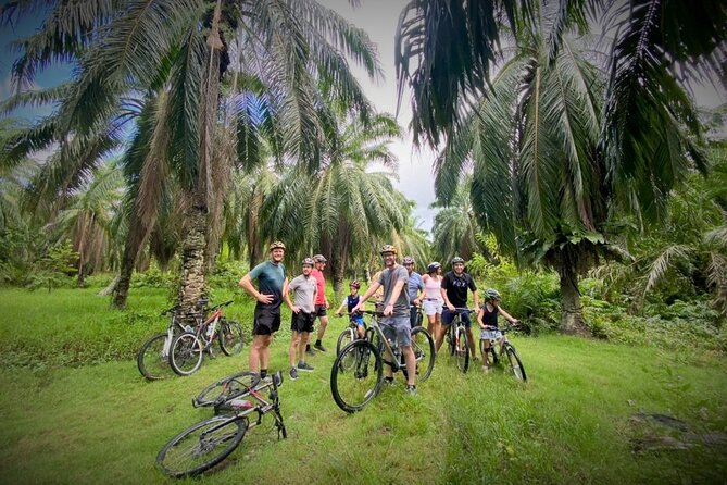 Countryside Cycling Tour. T1.0 by Matahari - Price and Value: Is CA$138.34 Worth It