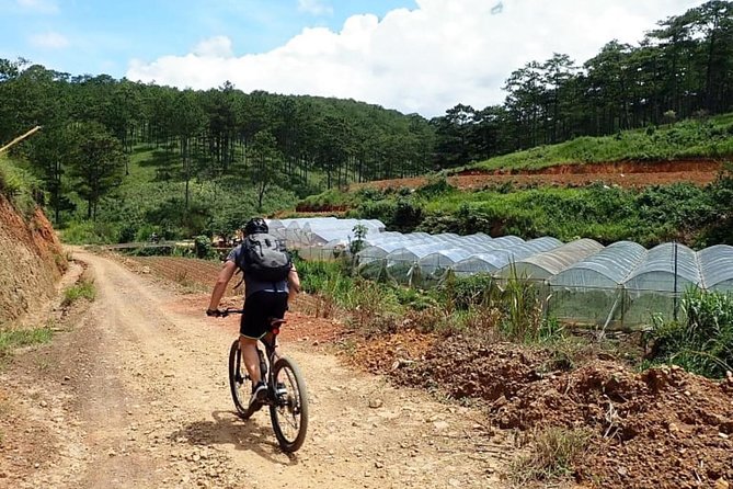 Crazy 8 Mountain Bike Tour from Dalat - Price of about $25: where the value really comes from