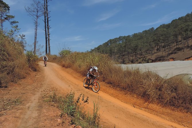 Crazy 8 Mountain Bike Tour from Dalat - Should you book? My practical call