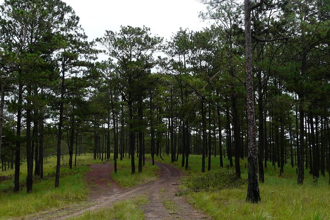 Crazy 8 Mountain Bike Tour from Dalat - FAQ