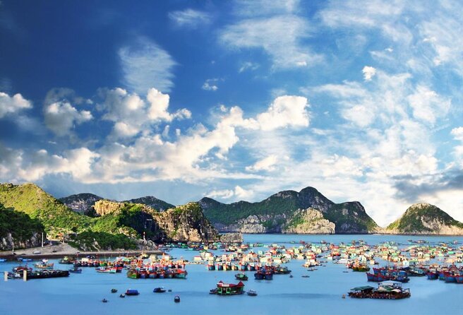 Cruising- Kayaking- Cycling- Trekking 3D/2N from Cat Ba in less tourist areas. - Key highlights (what makes this trip worth your time)