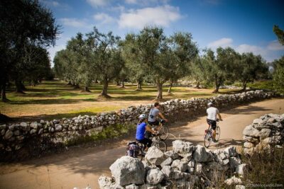 Cycling Across Salento: Capo di Leuca 4-Hour Bike Tour - Stop 1: Torre di Salignano and the coast-defense story