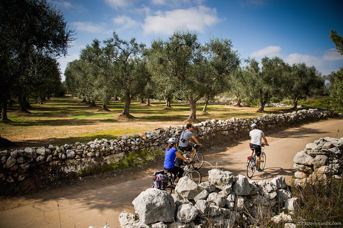 Cycling Across Salento: Capo di Leuca 4-Hour Bike Tour - Stop 1: Torre di Salignano and the coast-defense story