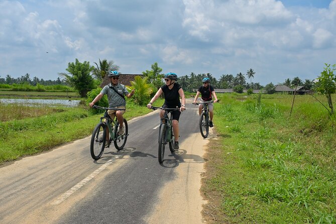 Cycling and Cooking Class in Ubud - Price and value: is $91.22 a fair deal for this day?