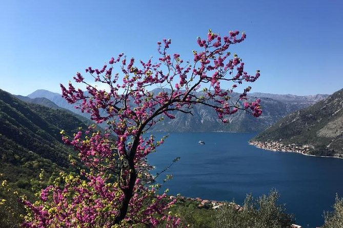 Cycling and hiking short tour through the bay of Kotor - Should you book this Kotor Bay bike-and-hike tour?