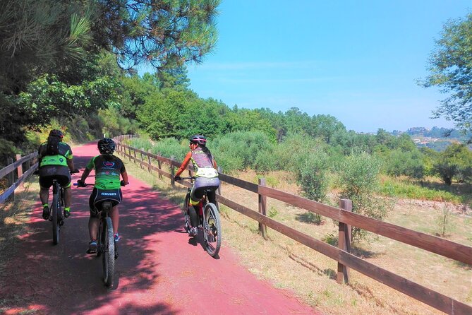 Cycling Ecopista do Dão One Way, full-day from Coimbra - Why the Ecopista do Dão feels like a smart day trip from Coimbra