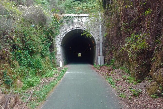 Cycling Ecopista do Dão One Way, full-day from Coimbra - Your bike, helmet, snacks, and why the small comforts matter