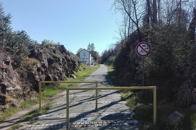 Cycling Ecopista do Dão One Way, full-day from Coimbra - The ride experience: scenery stops and where the day breaks