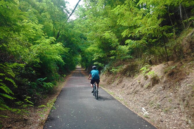 Cycling Ecopista do Dão One Way, full-day from Coimbra - The lunch question: what you’ll need to plan for