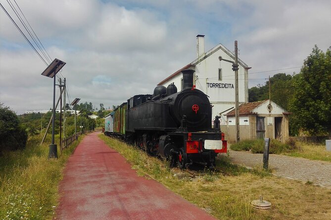 Cycling Ecopista do Dão One Way, full-day from Coimbra - Guide-led comfort: how the group stays on track