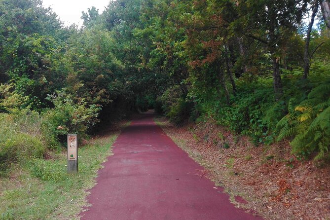 Cycling Ecopista do Dão One Way, full-day from Coimbra - Value and price: is $143.91 a fair deal for a full day?