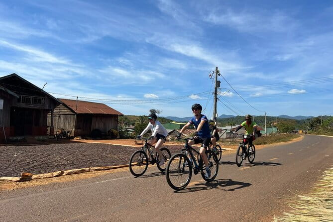 Cycling From Dalat to Mui Ne - The cycling profile: coffee, pine, villages, and a 20 km pass