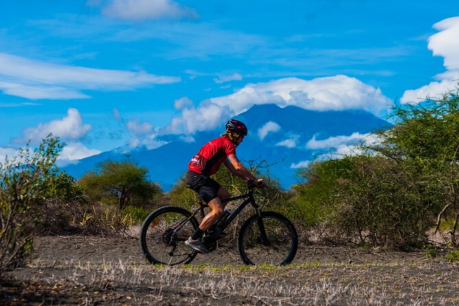 Cycling from Kilimanjaro to Ngorongoro Crater - Day 4: Tarangire-to-Lake Manyara corridor riding and Rift Valley views