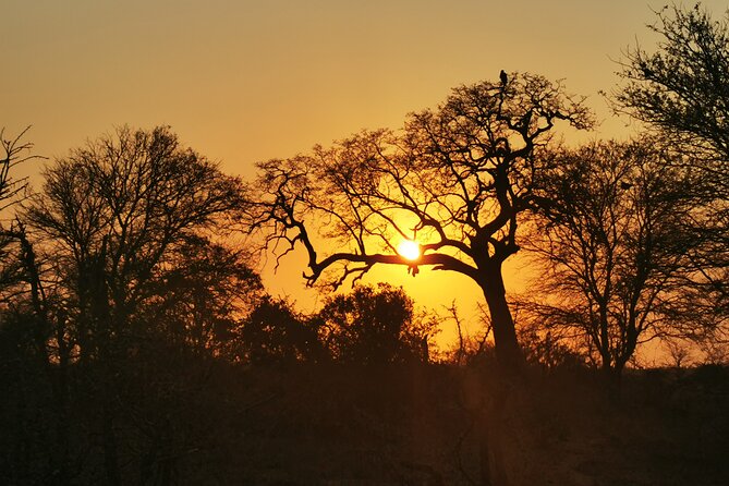 Cycling in a Forest close to Johannesburg and Pretoria - Price and value: what $63.03 really buys you