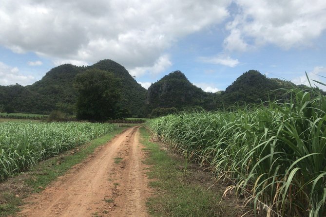 Cycling in rural Kanchanaburi area - Starting point at SUP Hire Thailand: the calm kickoff
