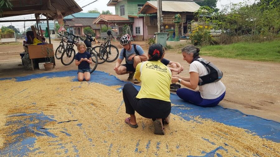 Cycling Sukhothai Full Day Countryside Tour - Food and breaks: snack, lunch, and staying fueled