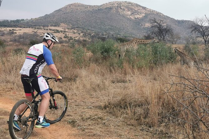Cycling The Cradle of Humankind in Game Reserve - Price and logistics: value beyond the sticker price
