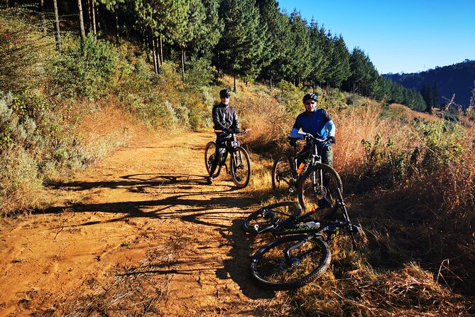 Cycling The Cradle of Humankind in Game Reserve - Who this cycling tour suits best (and who should adjust expectations)