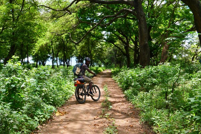 Cycling through the TPC plantations - Who this Moshi bike day fits best (and who might want something else)