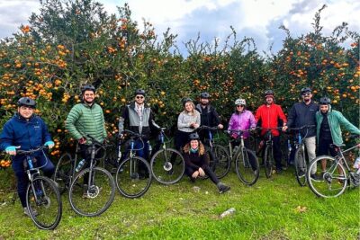 Cycling Through Vineyards & Farm Lunch & Ephesus visit - The Van Ride to Ephesus: Fast Access From Port and Hotels