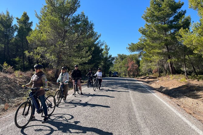 Cycling Through Vineyards & Farm Lunch & Ephesus visit - The Cycling Plan: Your E-Bike Route Through Named Villages
