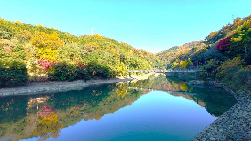 Cycling Tour at Uji's Matcha Green Tea Fields and Heritage - Key highlights I’d prioritize