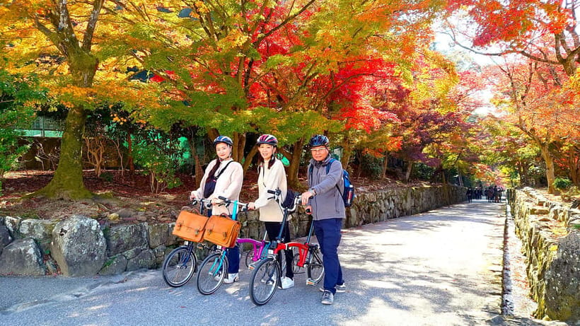 Cycling Tour at Uji's Matcha Green Tea Fields and Heritage - Why Uji on a Brompton beats typical Kyoto sightseeing