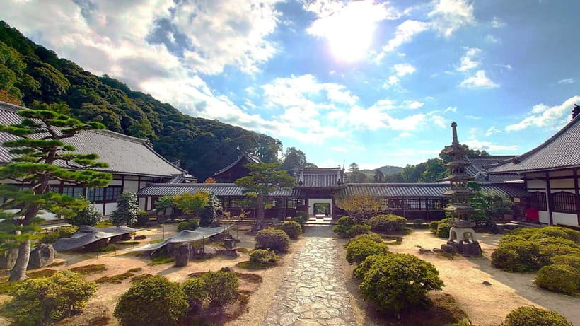 Cycling Tour at Uji's Matcha Green Tea Fields and Heritage - Uji Shrine, Ujigami Shrine, and Uji Kosho-ji Temple: small stops with big payoff