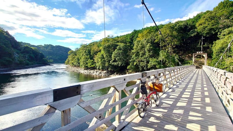 Cycling Tour at Uji's Matcha Green Tea Fields and Heritage - Byodo-in Temple and Phoenix Hall: the UNESCO moment