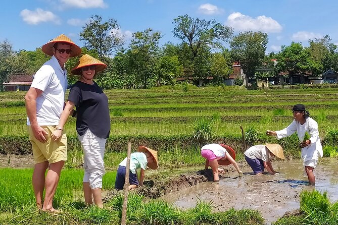 Cycling Tour in Yogyakarta with Lunch 3-Hour - Why This Yogyakarta Ride Feels Like Local Life