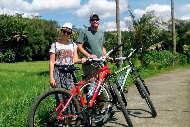 Cycling Tour in Yogyakarta with Lunch 3-Hour - Jejeran: 3 Hours of Rice Terraces, Fields, and Village Rhythm
