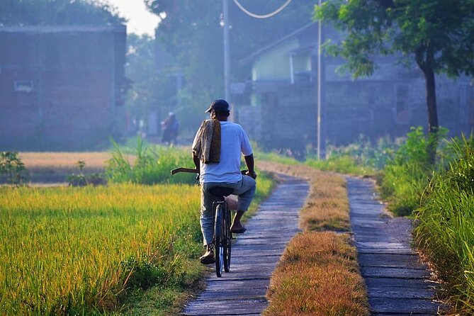 Cycling Tour in Yogyakarta with Lunch 3-Hour - Price and Value: Is $25 a Good Deal?