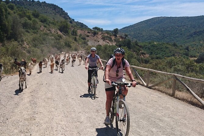 Cycling - Via Verde de la Sierra - 36km - Easy Level - The Riding Experience: Surface, Pacing, and the One Climb You Should Plan For