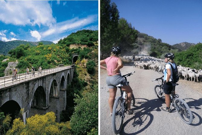 Cycling - Via Verde de la Sierra - 36km - Easy Level - Transfers, Guides, and Real Help (Not Just a Drop-Off)