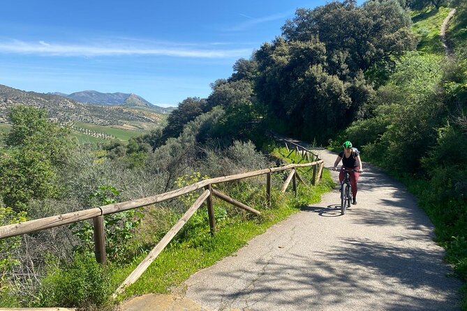 Cycling - Via Verde de la Sierra - Easy Difficulty - Ronda - Via Verde de la Sierra: What Makes This Ride Feel So Easy