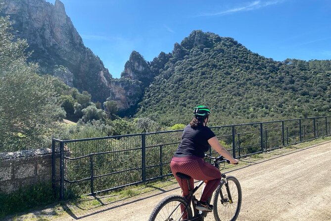 Cycling - Via Verde de la Sierra - Easy Difficulty - Ronda - The Actual Ride: 3.5 Hours on a Former Railway Path