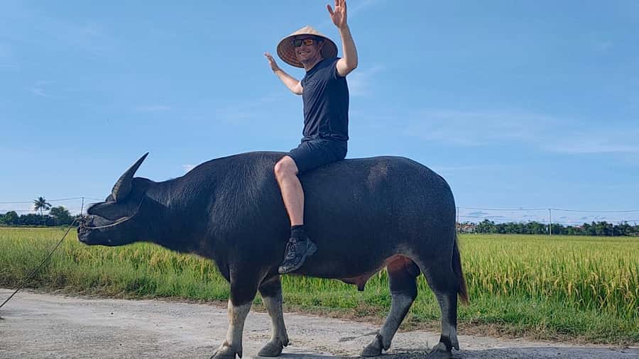 Cycling, Water Buffalo Riding, Traditional Farming Life - Cam Thanh Village: Where Farming, Fishing, and War Stories Coexist