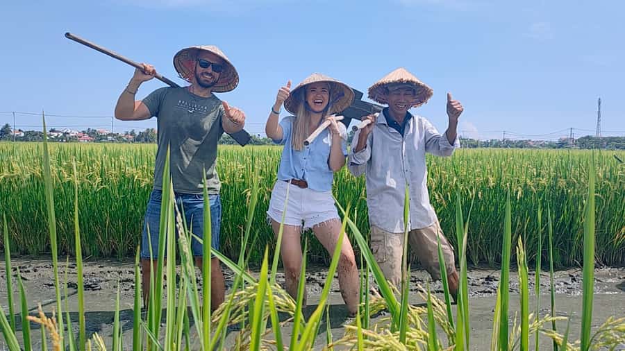 Cycling, Water Buffalo Riding, Traditional Farming Life - Vietnamese–American War Stories: Context You Can Hold in Your Head