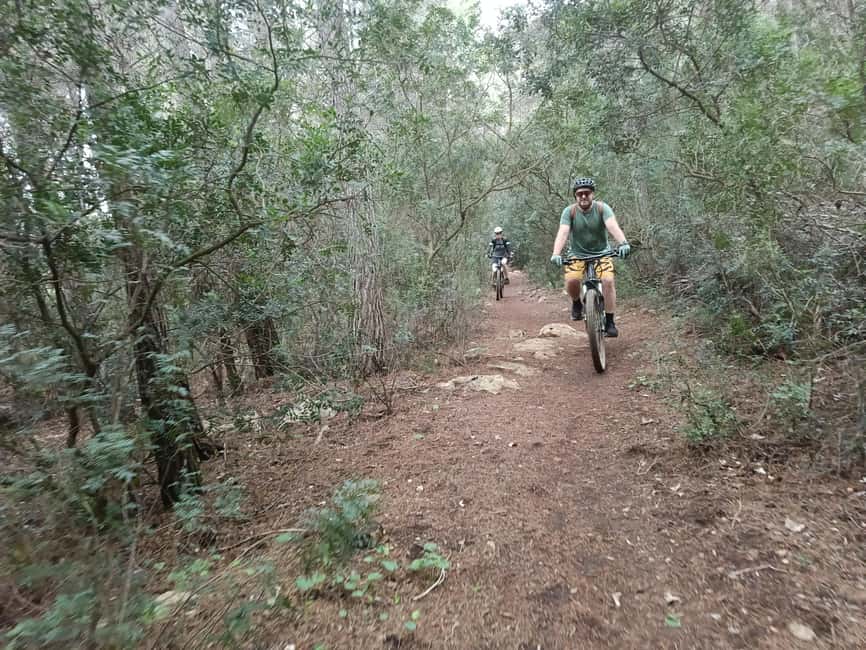 Dénia: Electric Mountain Bike Tour around the Montgó mountain - Who this eBike tour is for (and who should pass)