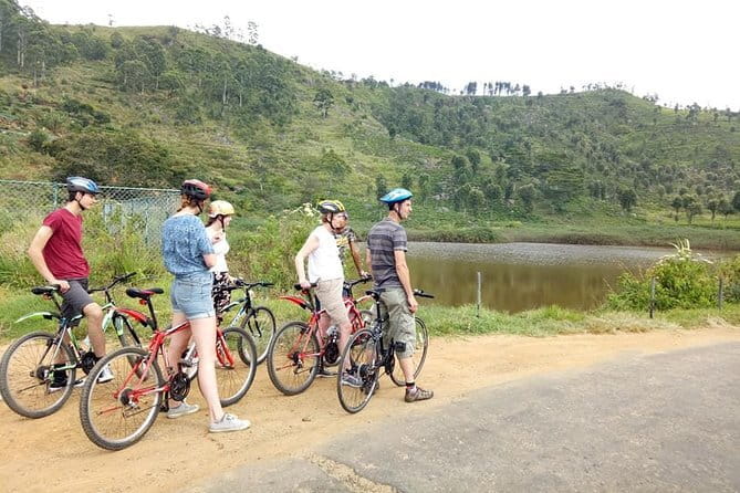 Discover Ella by Bicycle from Ella - Cycling Ella Highlands: what this 3-hour outing feels like